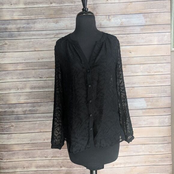 Banana Republic Black Sheer Button Up Blouse - Picture 1 of 5
